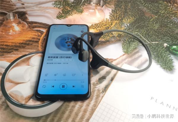 一个手机可以连两个蓝牙耳机么_蓝牙耳机手机可以放多远_蓝牙耳机手机可以充电吗