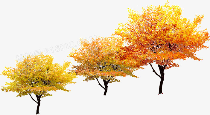 树林调色手机游戏_树林画质_手机树林调色游戏
