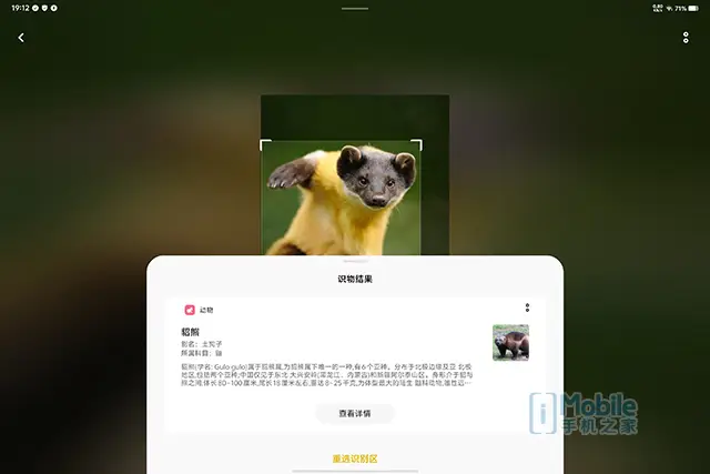 小狐狸钱包未连接不上网页_小狐狸钱包添加网络_狐狸钱包使用教程