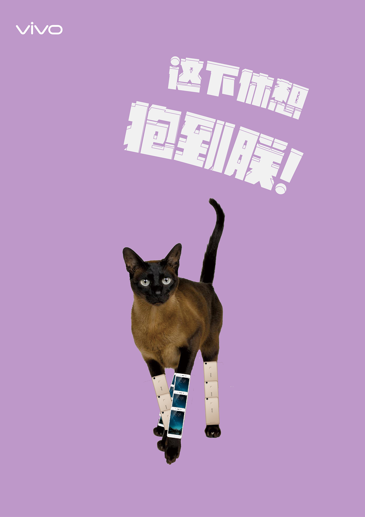 丛林猫注册不了怎么办_手机游戏加菲猫丛林_丛林猫为什么登录不上