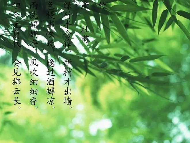 停经3天hcg值多少正常_不如自挂东南枝_一般账户能开保函吗