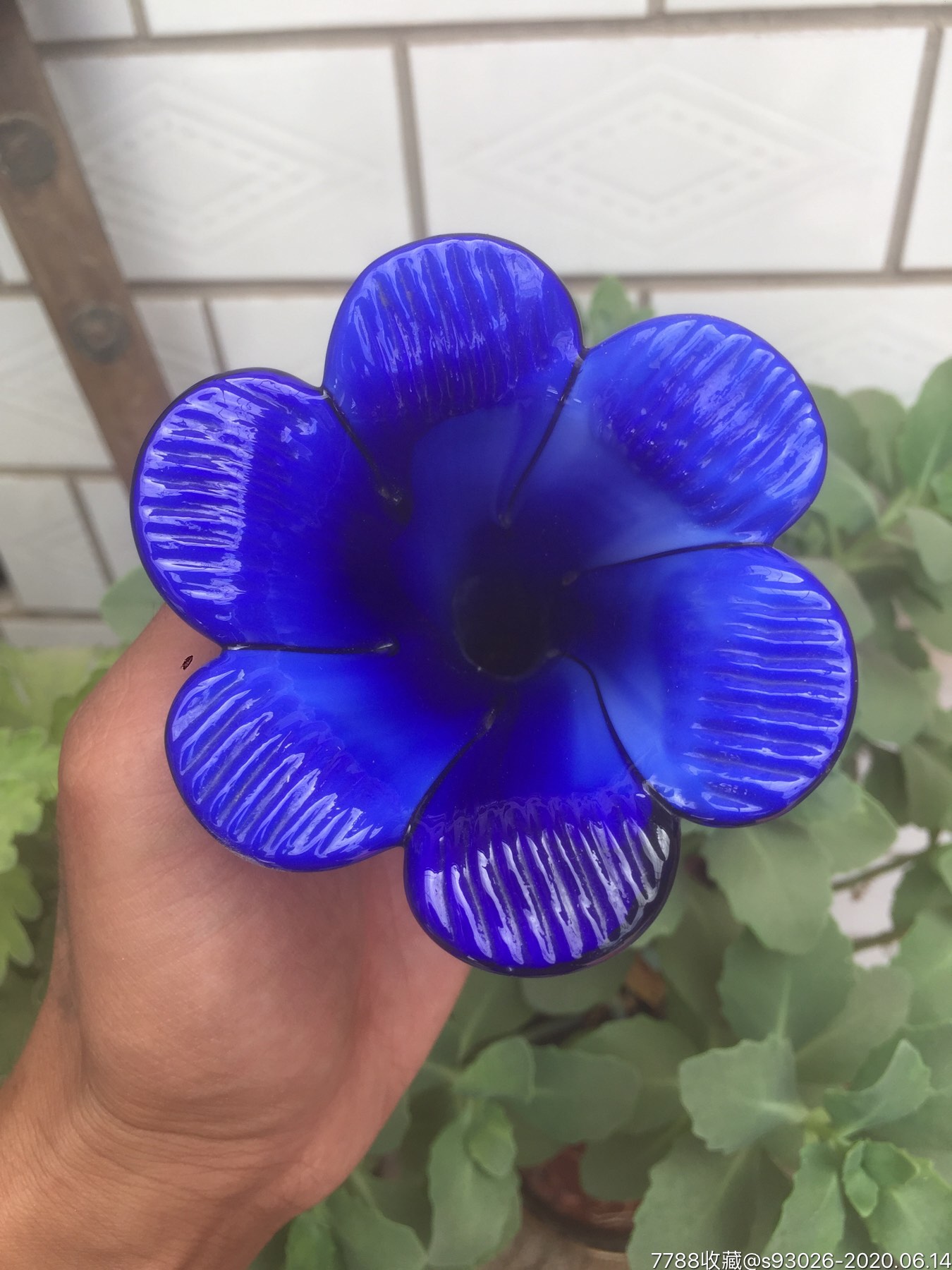 琉璃花轶闻免费_琉璃花轶闻分集剧情介绍_花琉璃轶闻免费