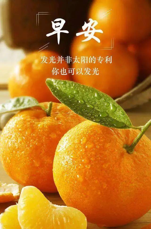 手机游戏初心_初心的游戏名_初心安卓攻略