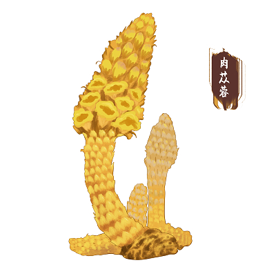 可以采药的手游_采药制药的游戏_手机游戏采药