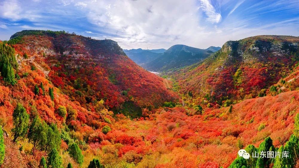 风景党网游_手机游戏风景党_风景党端游