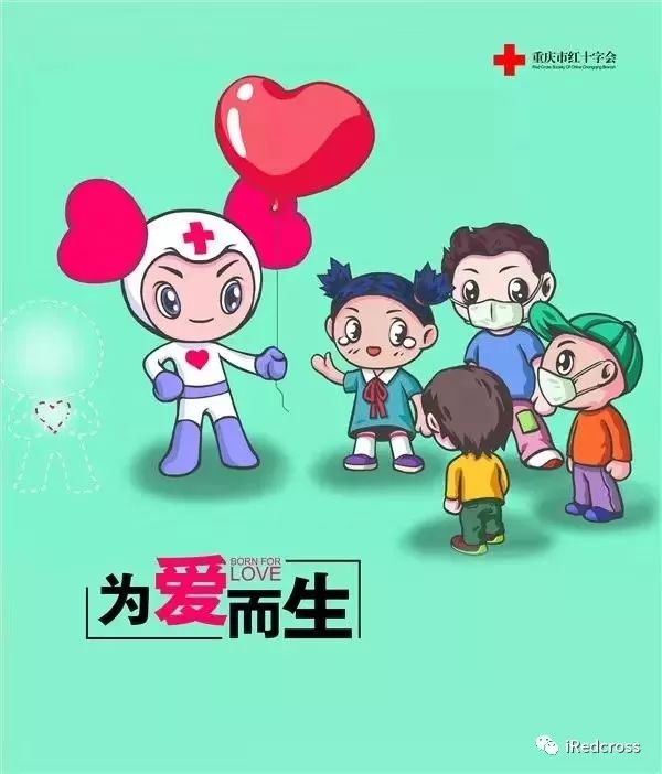 红十字运动的基本原则_红十字运动的组织原则是什么_红十字运动的原则是