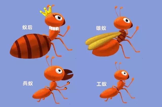 养成蚂蚁游戏_手机上如何养蚂蚁游戏_养蚂蚁的手机游戏