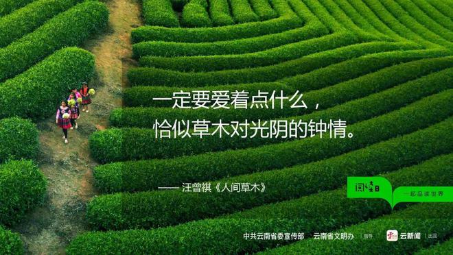imtoken官网下载教程_imtoken在中国如何下载_imtoken下载流程