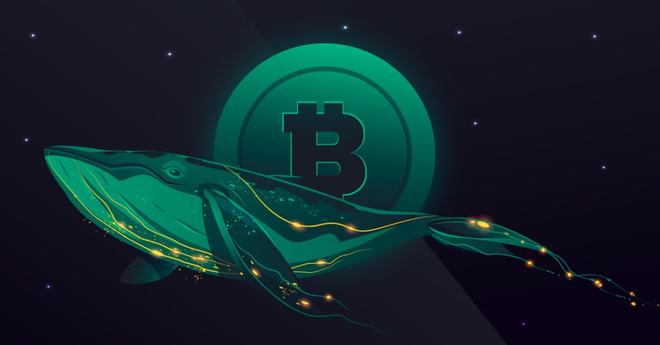 小狐狸钱包是做什么的啊英文_钱包用英文怎么讲_钱包英语