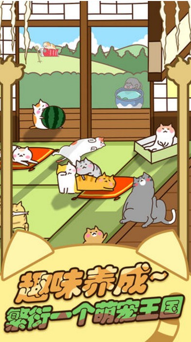 猫玩游戏时是什么样子_手机上给猫玩的游戏_猫咪玩手机游戏
