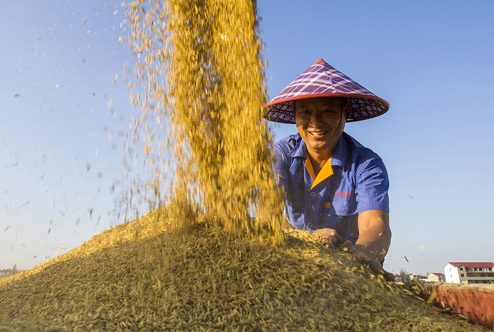 手机游戏扶贫：科技公益融合，点亮贫困地区的新希望与活力