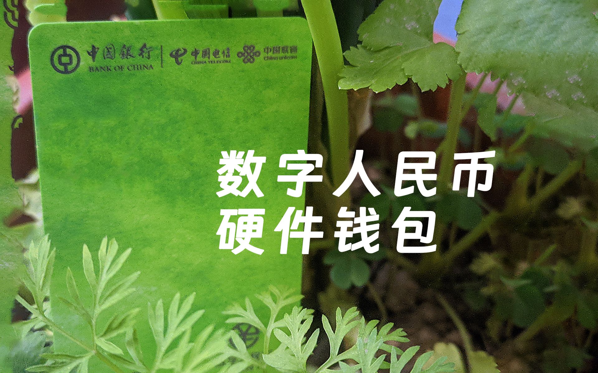 换钱包旧钱包怎么处理_tp钱包如何用回旧版本_钱包最新版本