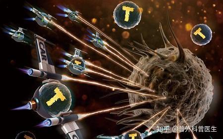 手机玩游戏会得肿瘤吗知乎_肿瘤病人玩手机有影响吗_知乎上海海得