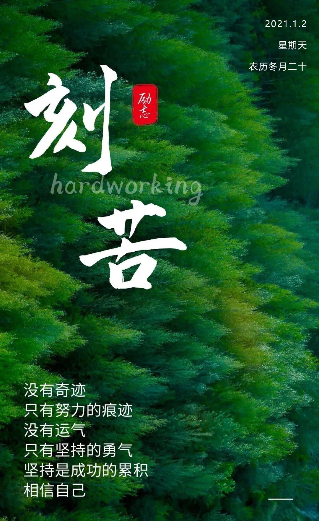 艾丝缇_艾丝特_艾丝华伦斯坦