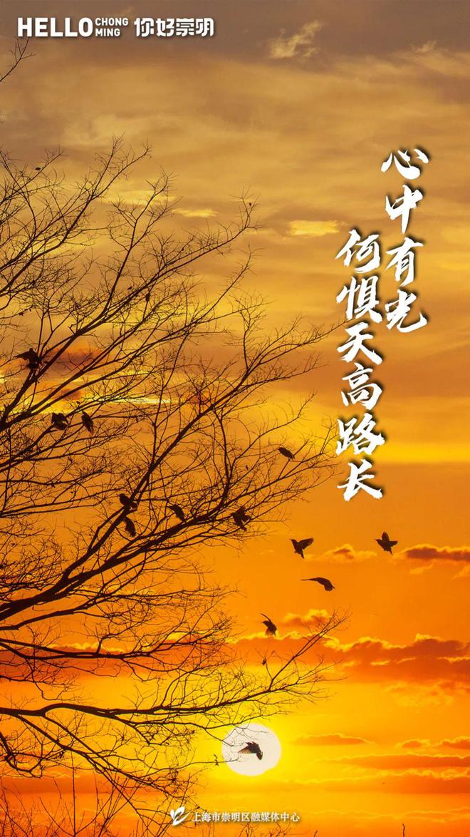 良小伞为什么叫伞根硕_伞根硕照片_伞根硕图片