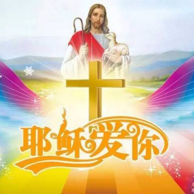 伞根硕照片_良小伞为什么叫伞根硕_伞根硕图片
