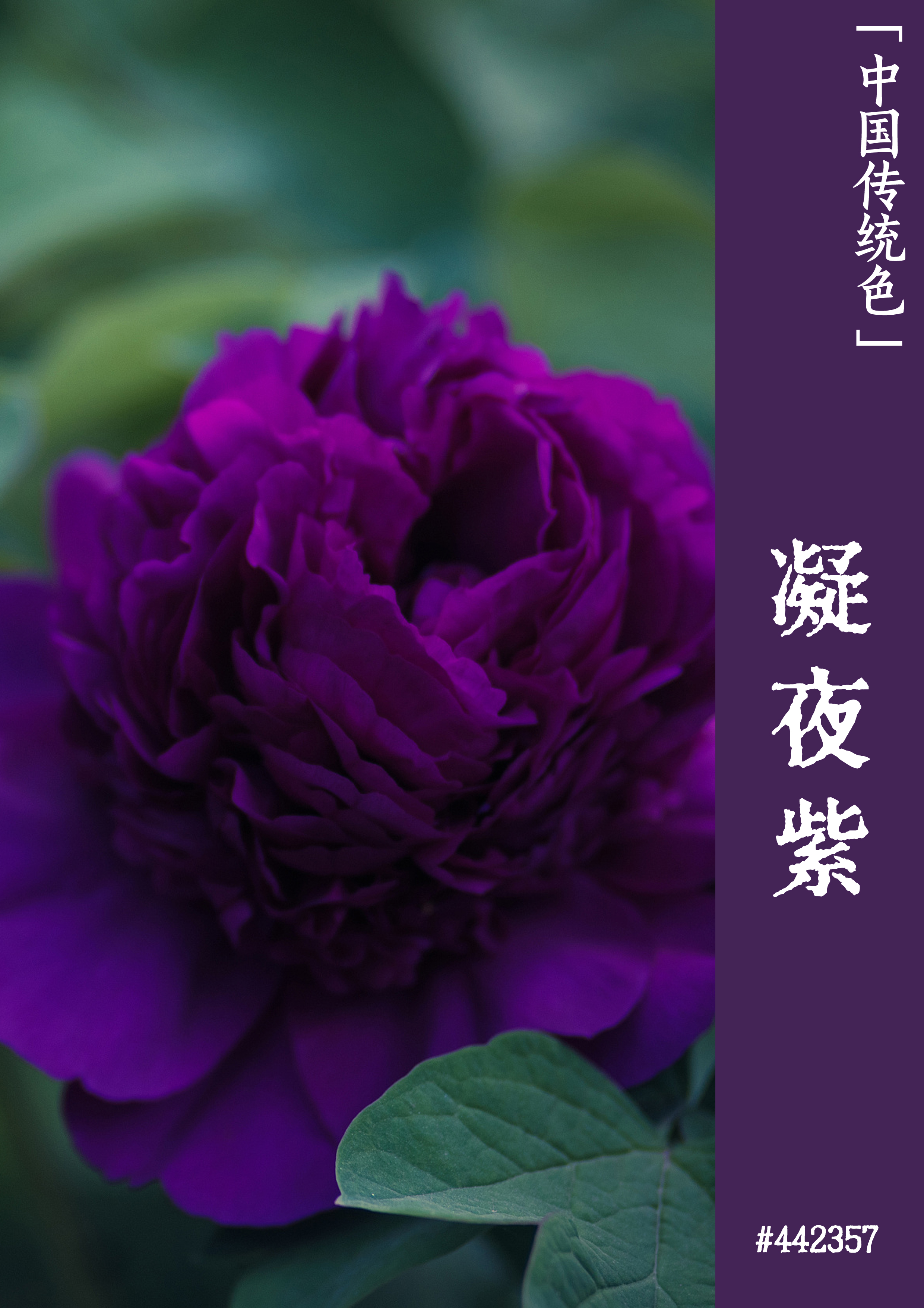 小狐狸钱包交易出错_小狐狸钱包打不开_小狐狸钱包显示错误什么意思啊