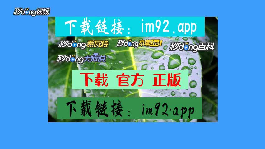 im钱包重新导入_imtoken导入钱包后没币_imtoken倒入钱包