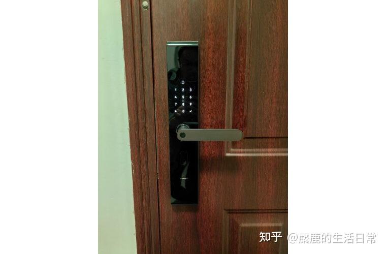 手机游戏怎么加人脸识别_识别脸加人手机游戏有哪些_脸部识别游戏