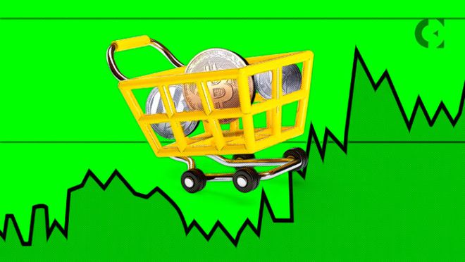 tp钱包代币头像_tp钱包怎么修改代币图标_修改钱包区