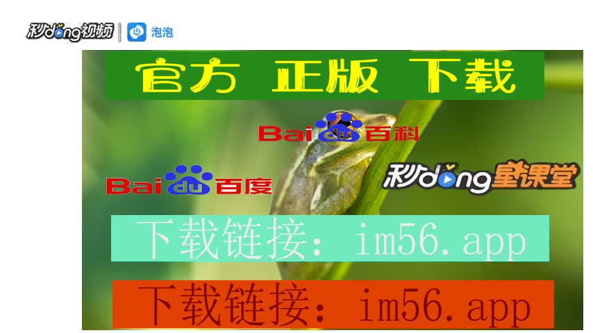 im钱包官方下载地址_钱包下载官网_下载π钱包