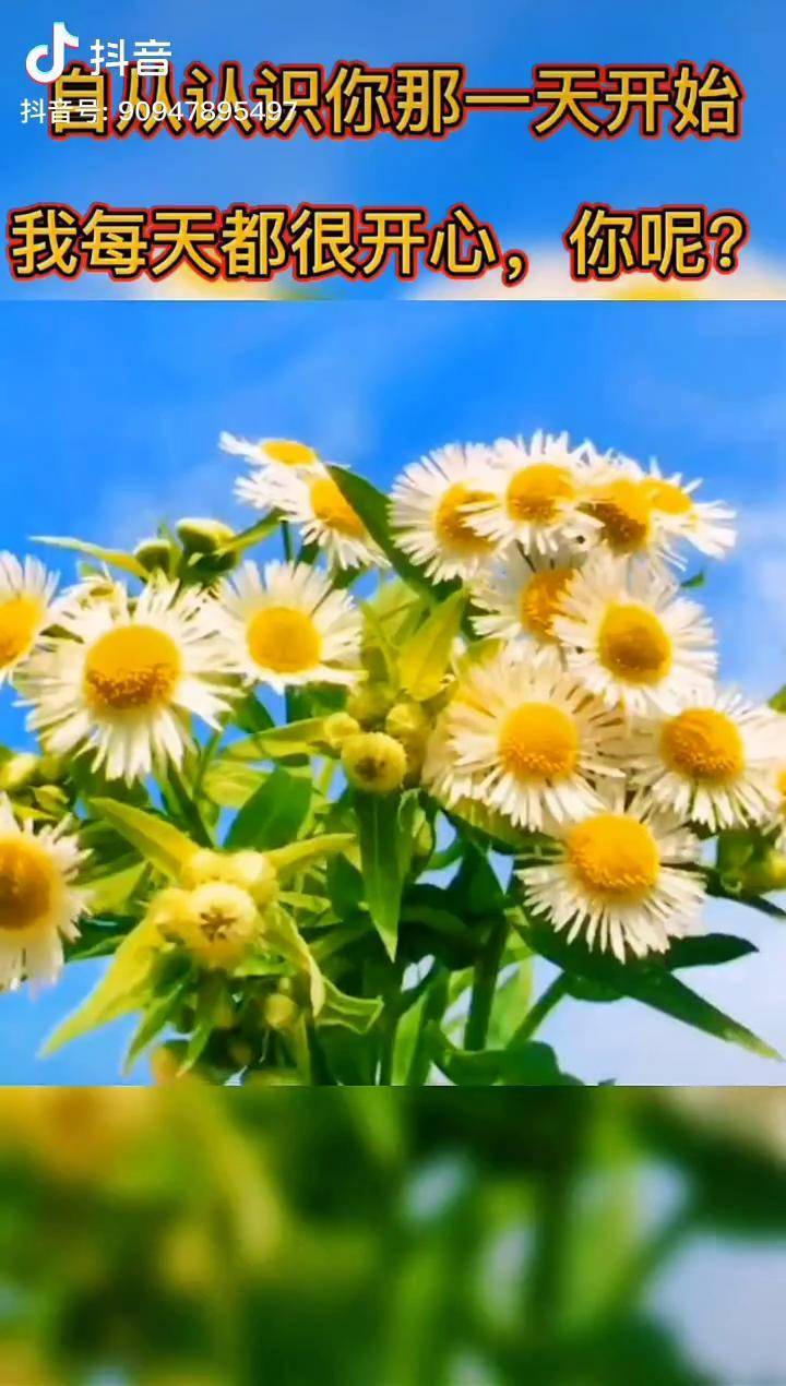 手机游戏florence下载_下载手游软件_qq飞车下载手机版游戏