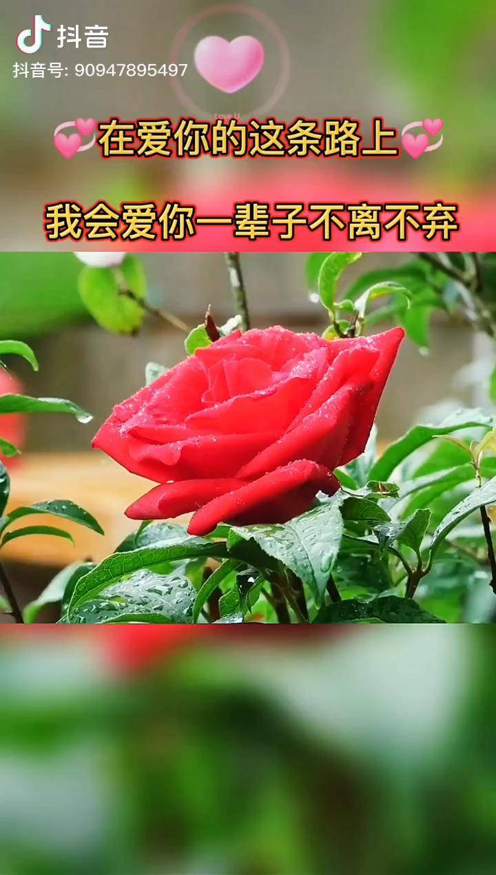 下载手游软件_qq飞车下载手机版游戏_手机游戏florence下载