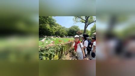 小狐狸钱包转账成功钱没收到_小狐狸钱包转出时间长吗怎么办_狐狸钱包