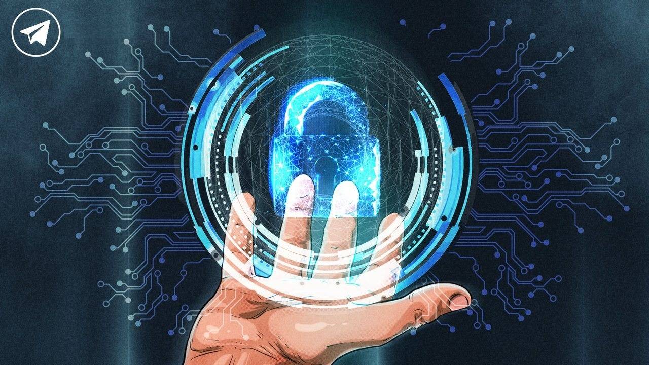 telegram怎么解18_telegram怎么解18_telegram怎么解18