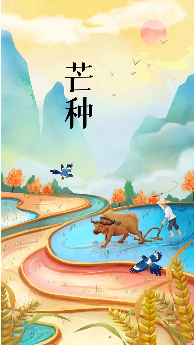 芒种时间是什么时候_芒种时间_芒种时间点
