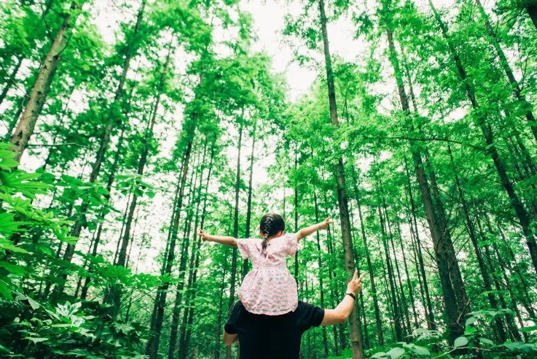 抖音图_抖音图片风景_抖音图像最火图片