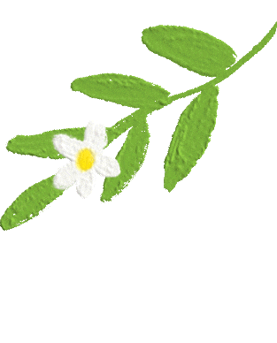 传手机游戏规则_手机游戏传psv_手机传游戏给psv