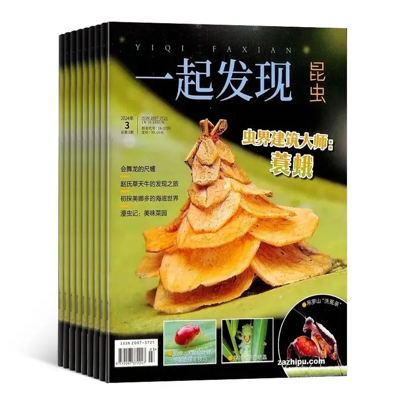 小狐狸钱包安装教程图解视频软件-安装小狐狸钱包：一次探索未知