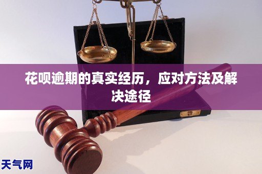 下载花呗_下载花猪出行_下载花呗借款