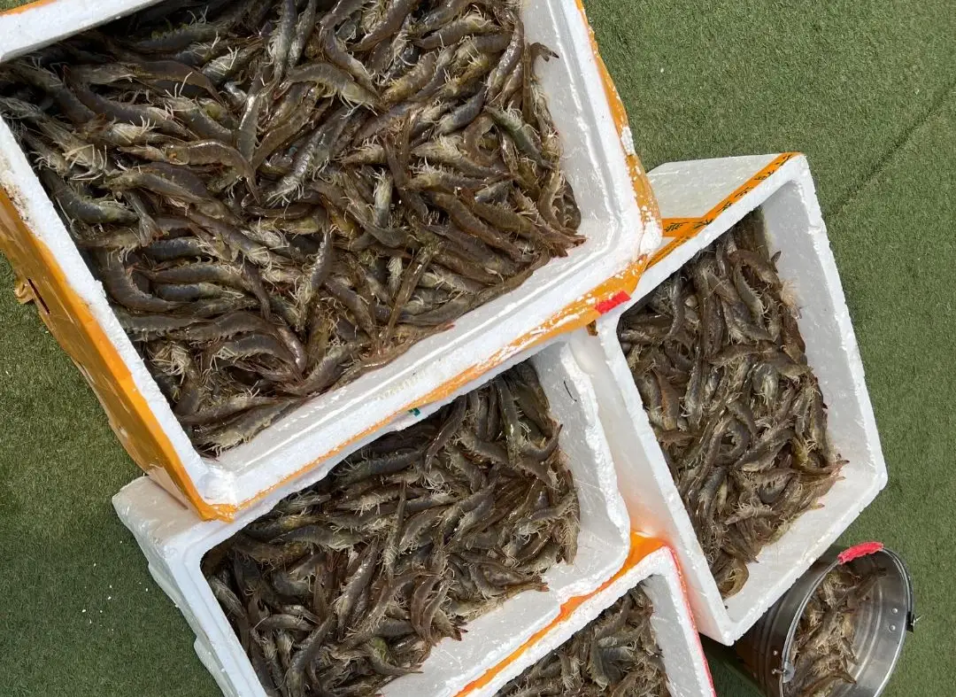 种菜做饭经营小游戏_种植做菜手机游戏_种菜做菜的游戏