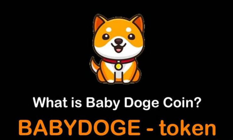 tp钱包怎么买babydoge_钱包买什么牌子_钱包买什么颜色的最守财