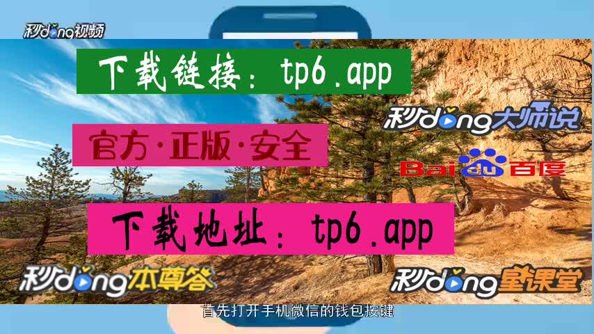 tp钱包添加资产未显示_tp钱包资源不足_tp钱包总资产