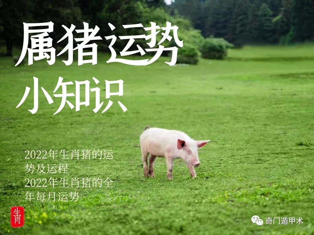 生肖猪月份出生最好_属猪的几月出生最好_属猪的那个月出生不好