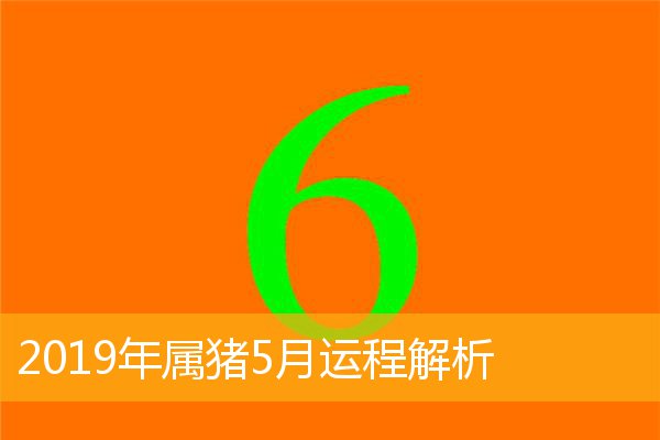 生肖猪月份出生最好_属猪的几月出生最好_属猪的那个月出生不好