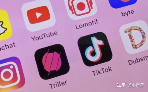 观察钱包是什么_观察钱包怎么看_tp观察钱包是什么意思