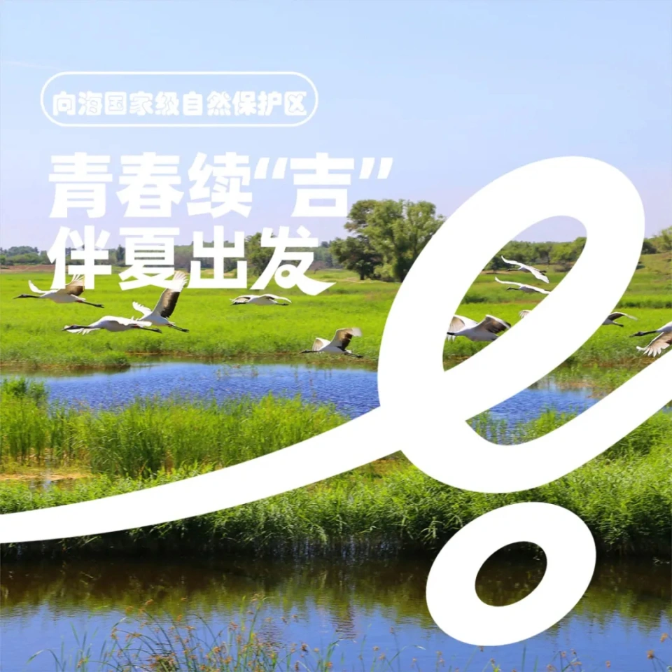 大象捕捉手机游戏破解版_手机游戏捕捉大象_抓大象游戏