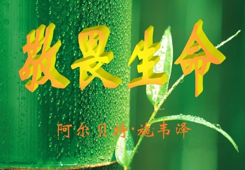 阿弥陀佛圣诞_阿弥陀佛圣诞佛七_阿弥陀佛圣诞日