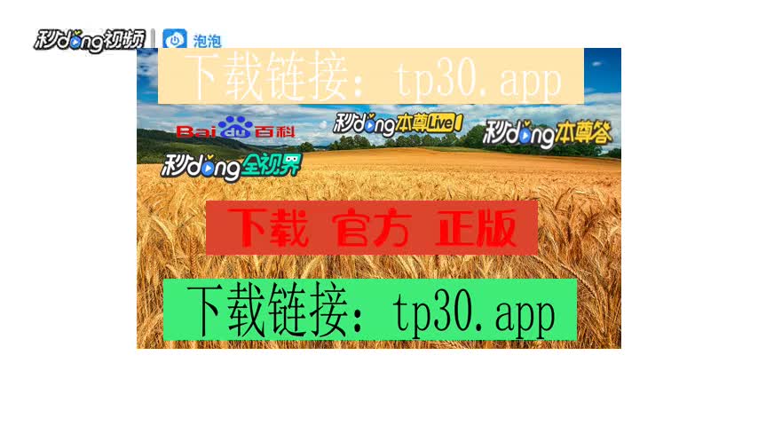身份钱包和单币钱包的区别_tp钱包身份钱包和单网络钱包_身份钱包单网络钱包