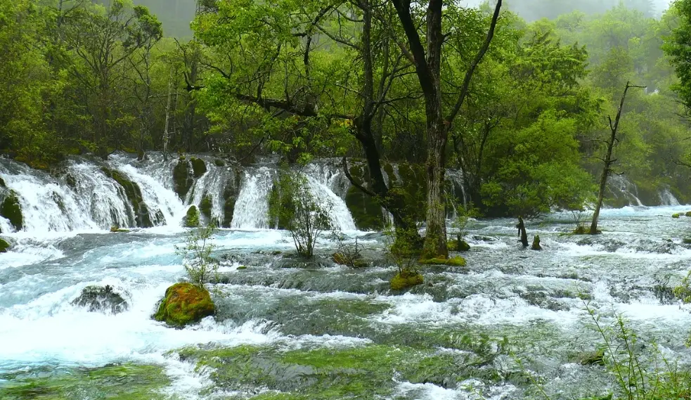 陆地养殖海鲜_浙江恒地房产有限公司陆雪荣_地陆