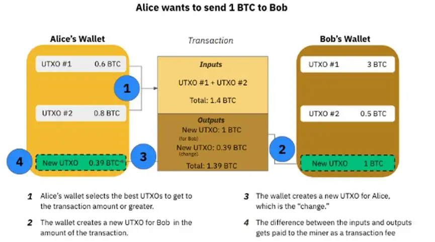 比特币钱包教学_小狐狸钱包添加比特币网络_比特币区块链金狐狸