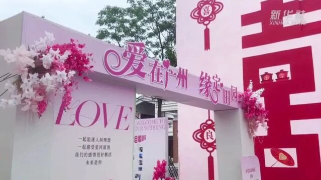 卷岛春_卷岛春_卷岛春