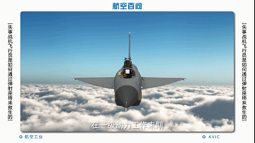 广西翅翼钢铁_装甲血翼蝙蝠和钢铁碎天兽_钢铁之翼