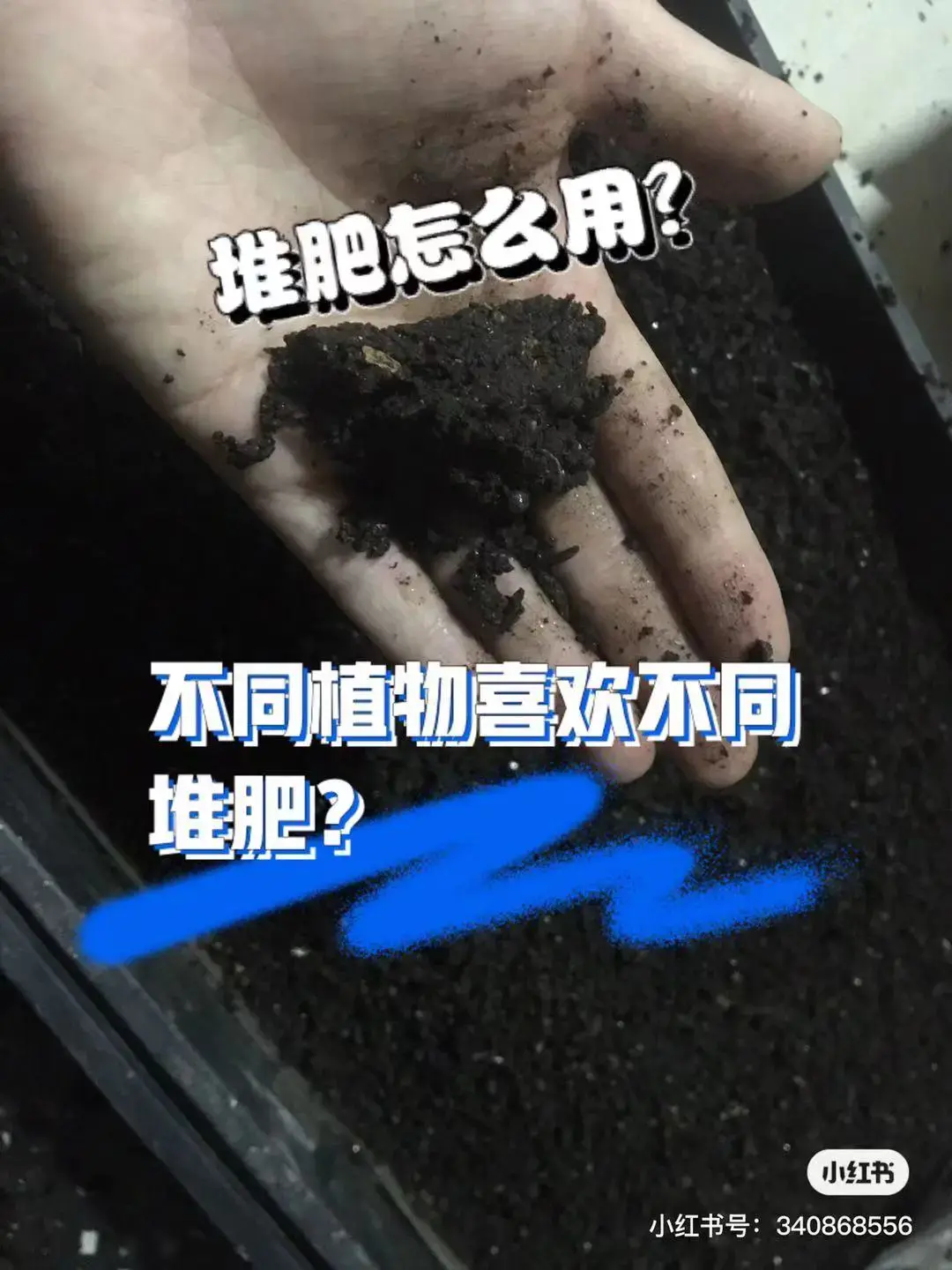种菜大亨安卓版_大亨种菜手机游戏大全_种菜大亨手机游戏