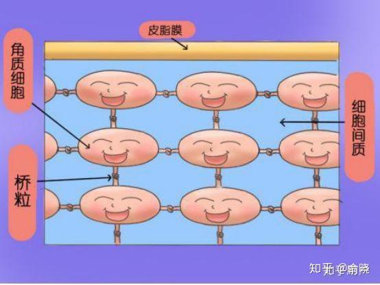 苹果手机保修查询_苹果手机保修_保修苹果手机需要带什么