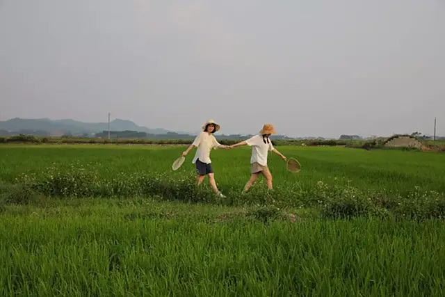 葛福顺的结局_福葛_葛福柱